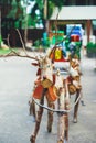 Decorative Santa reindeer made of wood logs and branches. Christmas concept Royalty Free Stock Photo