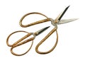 Decorative scissors Royalty Free Stock Photo