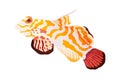 Decorative sea or aquarium fish on white background. Freshwater or saldwater aquarium cartoon fish. Variet of ornamental Royalty Free Stock Photo