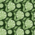 Decorative seamless pattern with green lime slices random print. Dark background. Summer botany print Royalty Free Stock Photo