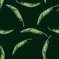 Decorative seamless pattern with random green banana leaves ornament. Black background. Simple style Royalty Free Stock Photo