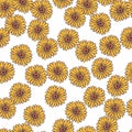 Decorative seamless pattern with random yellow sunflower elements print. Isolated floral backdrop