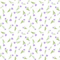 Decorative seamless pattern with violet crocus flowers cute ornament. White background. Isolated floral print Royalty Free Stock Photo