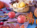 Decorative seasonal composition of bright autumn leaves, pumpkins, apples and rose petals on a wooden table Royalty Free Stock Photo