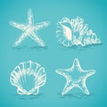 Decorative set sketch of seashells and starfish