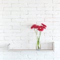 Decorative shelf Royalty Free Stock Photo