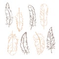 Silhouette feathers set. Hand drawn vector sketch.