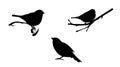 Decorative silhouette of birds sitting on tree branches. Royalty Free Stock Photo