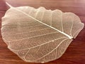 A decorative skeleton leaf