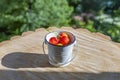 Decorative small bucket with cherries as an interior object Royalty Free Stock Photo