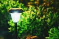 Decorative Small Solar Garden Light, Lantern In Flower Bed. Garden Design. Solar Powered Lamp. Royalty Free Stock Photo