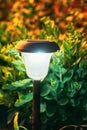 Decorative Small Solar Garden Light, Lantern In Flower Bed. Garden Design. Solar Powered Lamp. Royalty Free Stock Photo