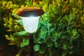 Decorative Small Solar Garden Light, Lantern In Flower Bed. Garden Design. Solar Powered Lamp. Royalty Free Stock Photo