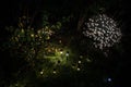 Decorative Small Solar Garden Light, Lanterns In Flower Bed. Garden Design Royalty Free Stock Photo