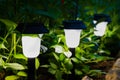 Decorative Small Solar Garden Light, Lanterns In Flower Bed. Royalty Free Stock Photo