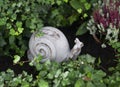 Decorative snail in the garden Royalty Free Stock Photo