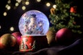 Decorative snow globe with a Christmas tree and lights in the background Royalty Free Stock Photo