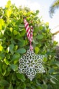 Decorative Snowflake on Green Hedge