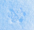 Decorative snowflake on snow