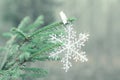 Decorative snowflake on the tree