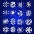 Decorative Snowflakes Vector Set