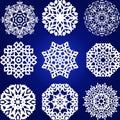 Decorative Snowflakes Vector Set