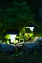 Decorative Solar Lamp Shine Under Decorative Bush Plants In Garden.