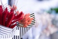 Decorative spiky flowers bouquet. Red cornflower on white