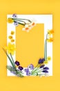 Decorative Spring Flower and Herb Background Frame