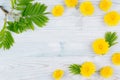 Decorative spring frame of yellow dandelion flowers and green leaves on light blue wooden board. Copy space, top view. Royalty Free Stock Photo