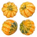 Decorative squash fruits on white