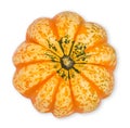 Decorative squash on white, top view