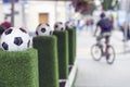 Decorative stand with football ball in the net on the green grass. Ornaments of city streets. Blurred people, man on a Royalty Free Stock Photo