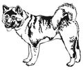 Decorative standing portrait of American akita vector