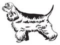 Decorative standing portrait of American Cocker Spaniel vector