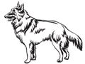 Decorative standing portrait of Belgian Shepherd Tervuren vector