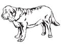 Decorative standing portrait of dog Spanish Mastiff vector illus