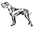 Decorative standing portrait of Great Dane vector illustration