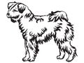 Decorative standing portrait of Pumi dog vector illustration Royalty Free Stock Photo