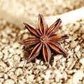 Decorative star anise Royalty Free Stock Photo