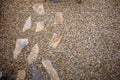 Decorative stepping stones in a gravel surface