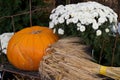 Decorative Still life of a Pumpkin, Flowers, and Barley, Whea