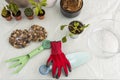 Decorative stone bags, gardener tools and juno glove with plants