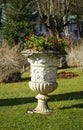 Decorative stone flowerpot with red flowers Royalty Free Stock Photo
