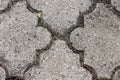 Decorative stone tiles with thick edge filled with dirt and small grass in suburban family house backyard texture