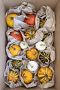 decorative striped pumpkins in box with paper, eco packaging and safe transportation