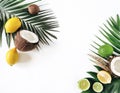 Decorative Styled Floral Frame Web Banner with Coconuts, Lemons, and Limes on Lush Palm Leaves Royalty Free Stock Photo
