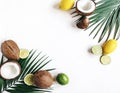 Decorative Styled Floral Frame Web Banner with Coconuts, Lemons, and Limes on Lush Palm Leaves Royalty Free Stock Photo