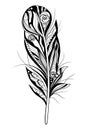 Decorative stylized feather on white background. Vector illustration doodling and zentangle style Royalty Free Stock Photo