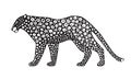 Decorative stylized jaguar wildcat. Vector animal illustration. Isolated on white background. Royalty Free Stock Photo